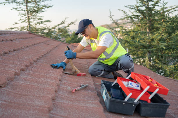 Best Tile Roofing Contractor  in Elk River, MN